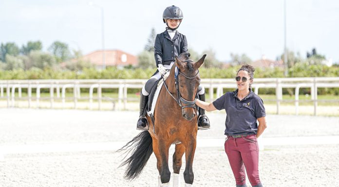Hipismo: Áurea Sábio em destaque no nacional de dressage na Golegã