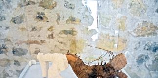 Cerâmica local para apreciar em Porto de Mós