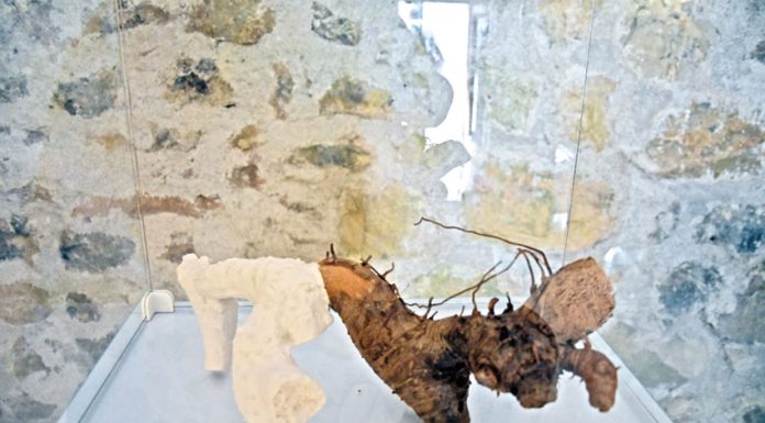 Cerâmica local para apreciar em Porto de Mós