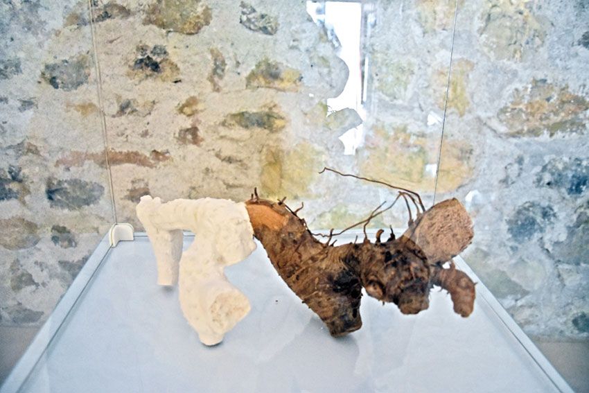 Cerâmica local para apreciar  em Porto de Mós