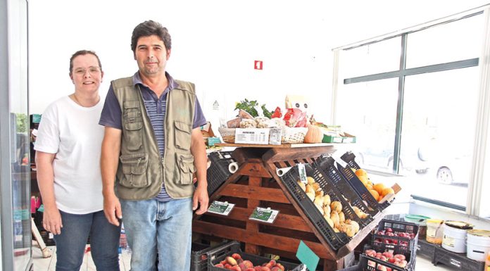 Pomar do Oeste tem nova localização na Cidade Nova