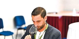 Vinhos da região distinguidos nos International Awards VIRTUS