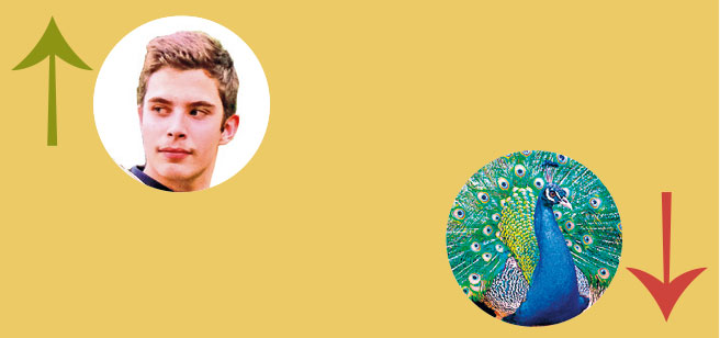 A Semana do Zé Povinho | 30-06-2022