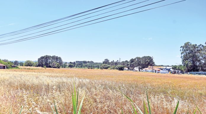 Caldas contesta decisão “simplista e irresponsável” para escolha do novo Hospital do Oeste