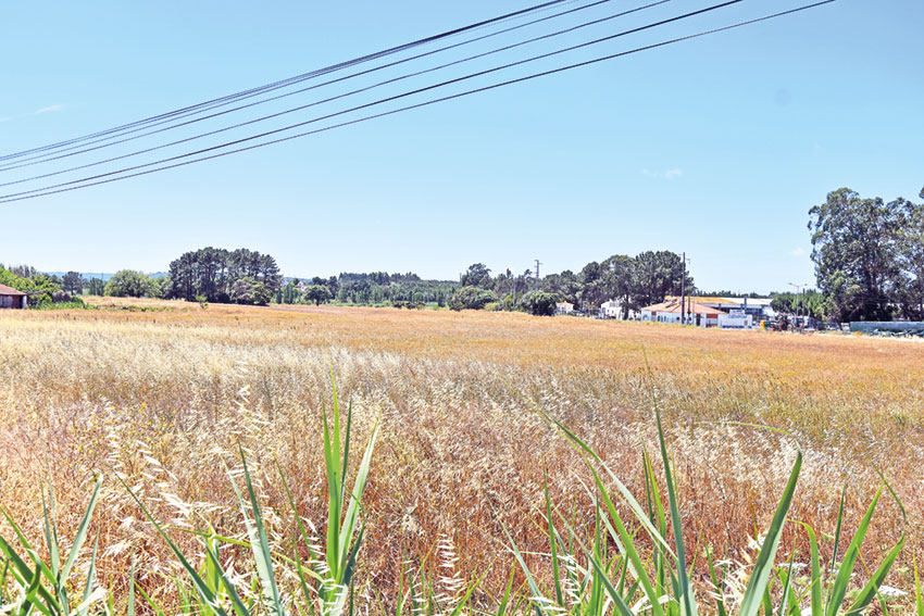 Caldas contesta decisão “simplista e irresponsável” para escolha do novo Hospital do Oeste