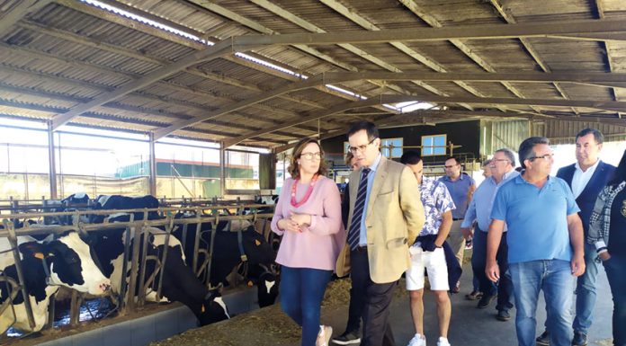 Produtores de leite vivem momentos muito difíceis