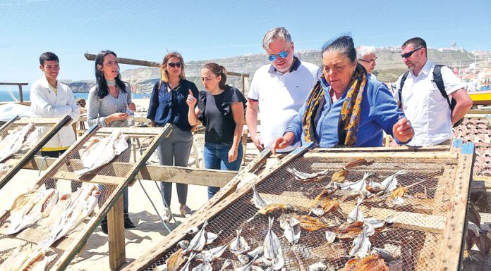 Pescas: Investigadores polacos visitaram a região