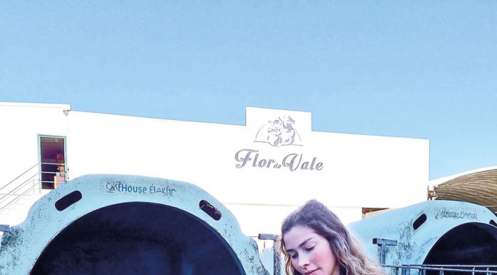 Queijaria Flor do Vale abre portas a visitas gratuitas