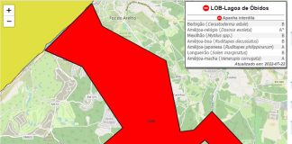 Interdita apanha de bivalves na Lagoa de Óbidos