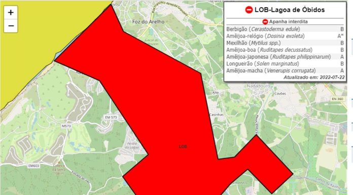 Interdita apanha de bivalves na Lagoa de Óbidos