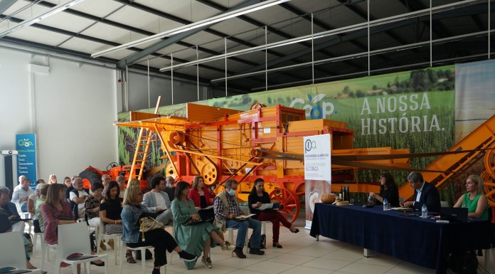 Pós-graduação em Património Alimentar e Desenvolvimento do Território avança em Alcobaça
