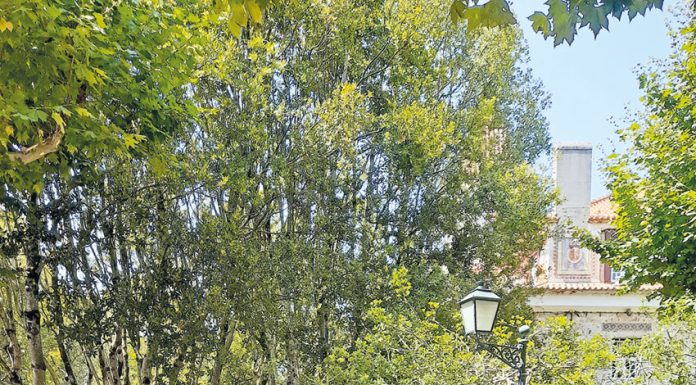 “Nasceram” andorinhas e azulejos nos jardins do Museu de Cerâmica