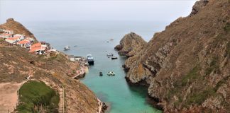 Câmara de Peniche quer mais verbas para a Berlenga