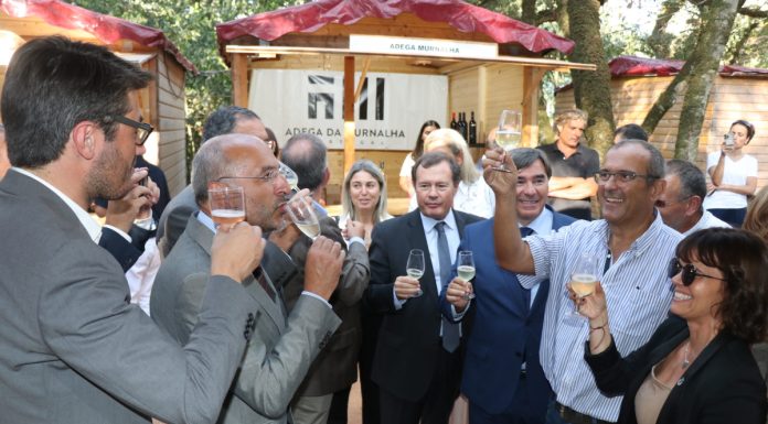 Bombarral em festa com regresso do Festival do Vinho e da Feira da Pera Rocha