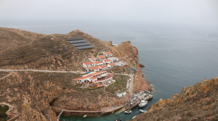 Peniche: Hasta pública para o Castelinho da Ilha da Berlenga