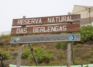 Arquipélago das Berlengas recebe estatuto de Zona Especial de Conservação
