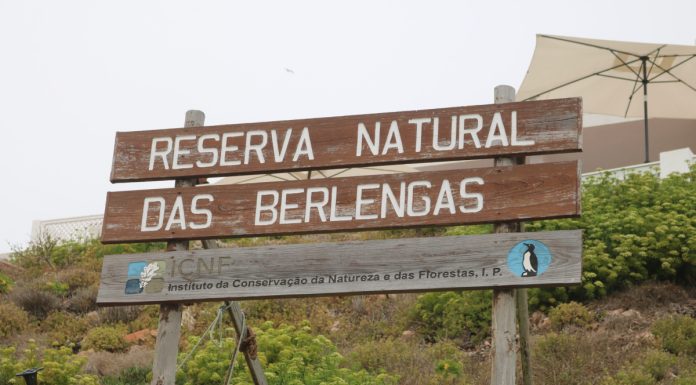 Arquipélago das Berlengas recebe estatuto de Zona Especial de Conservação