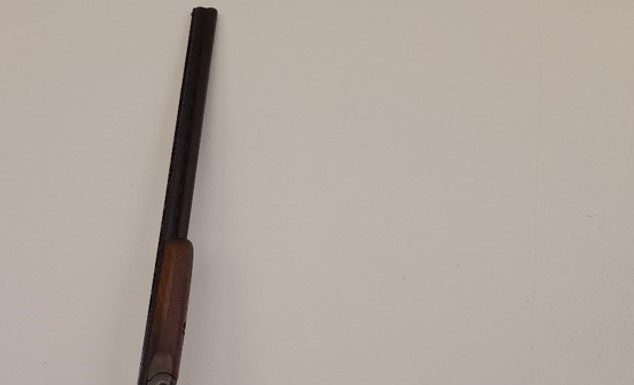 GNR detém homem por caça ilegal no Bombarral