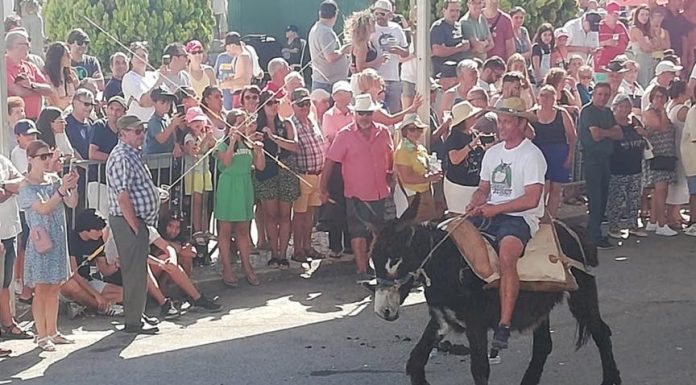 Retomada tradição da corrida dos burros em Ferrel