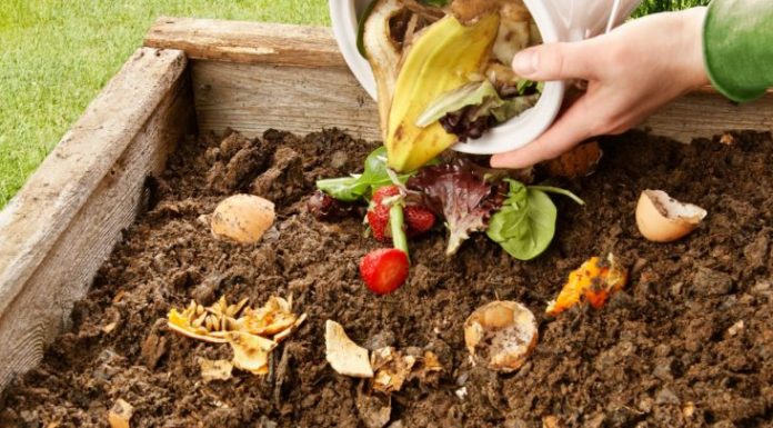 Lourinhã implementa projeto-piloto dedicado à compostagem comunitária