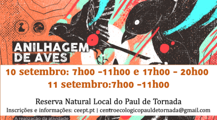 Centro Educativo do Paul de Tornada organiza anilhagem de aves