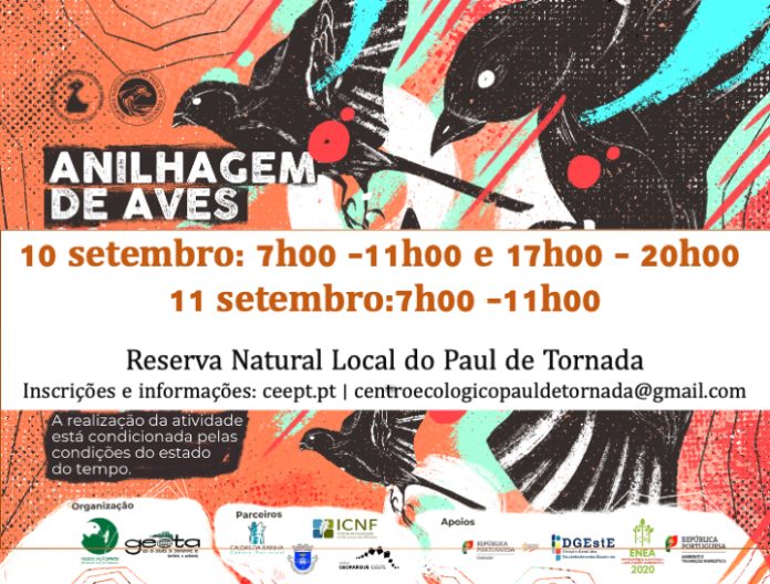 Anilhagem-paul-tornada