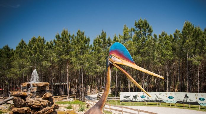 Dino Parque Lourinhã festeja visitante 1 milhão e oferece descontos e atividades