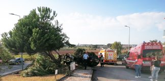 Estrada da Califórnia vai ter sinalização reforçada