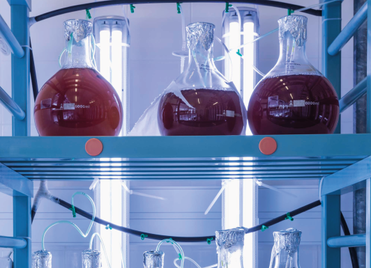 “AZUL MARE – Arte e Ciência” para ver em Peniche