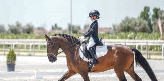 Dressage: Áurea Sábio apurada para final do Campeonato Portugal
