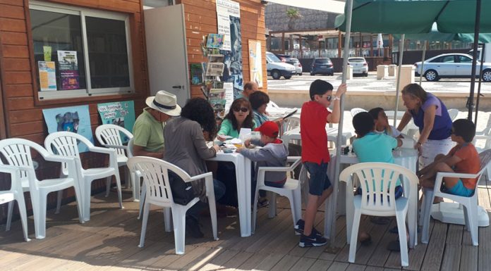 Livros: Biblioteca da Praia da Foz teve mais de três mil utilizadores
