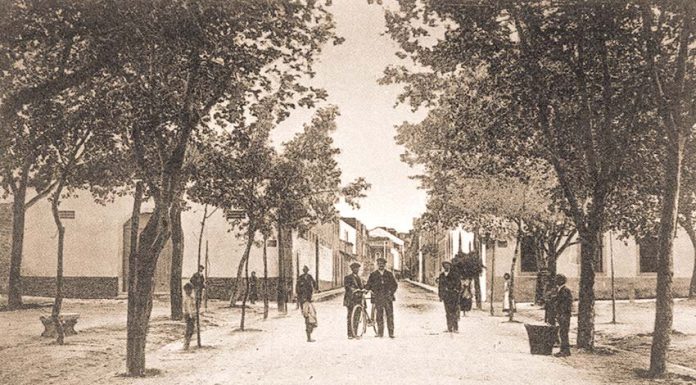 Caldas da Rainha: Bombeiros celebram 127º aniversário no dia 25