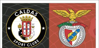 Festa da Taça na Mata