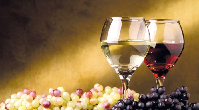 Vinhos da região premiados em concurso internacional