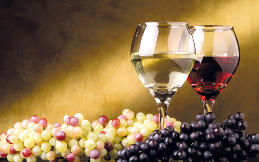 Vinhos da região premiados em concurso internacional