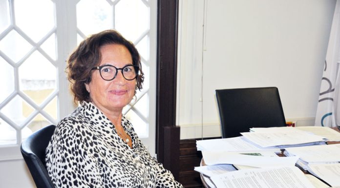 Isabel Damasceno “O Oeste tem apresentado uma assinalável procura de financiamento de projetos”