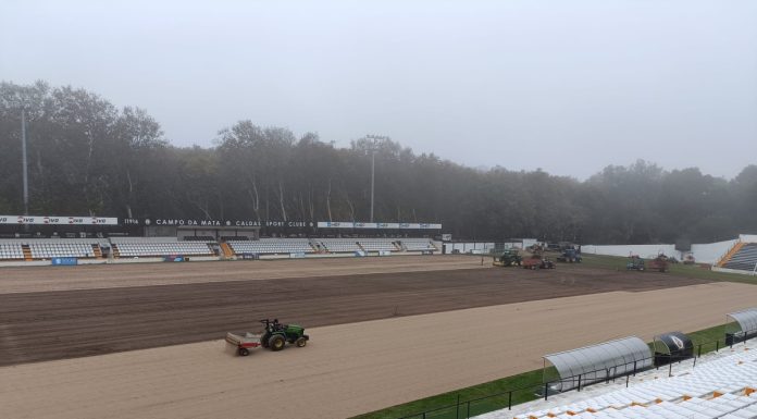 Caldas substitui o relvado do Campo da Mata