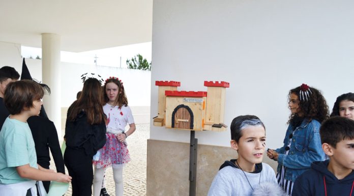 Entre numa viagem para conhecer as quatro pequenas grandes bibliotecas livres que existem no concelho de Óbidos