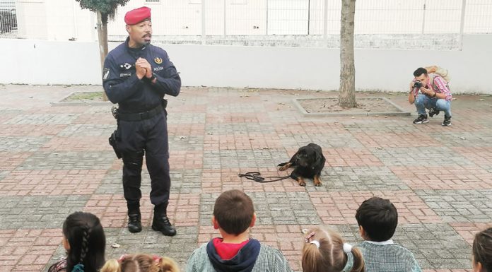 Cão da PSP despede-se em escolas na Nazaré