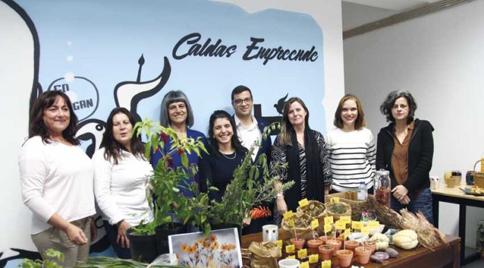 Open Day do Caldas Empreende mostrou empresas à comunidade