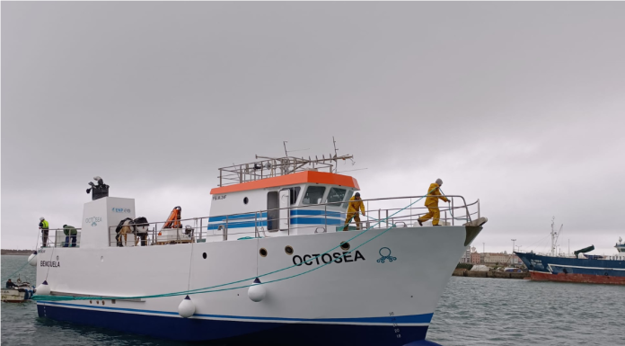 Estaleiros Navais de Peniche construíram embarcação para pesca em Angola