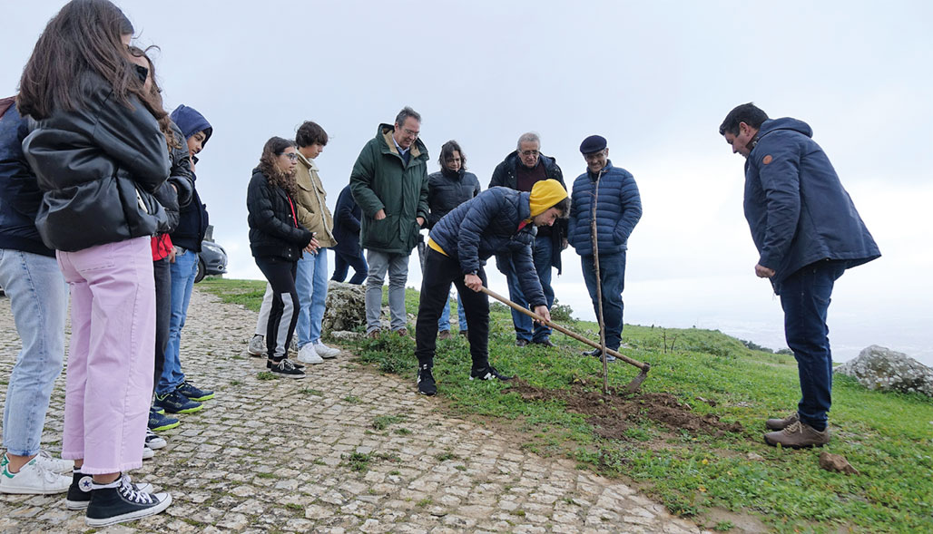 Cadaval: Plantada árvore pela Jornada Mundial da Juventude