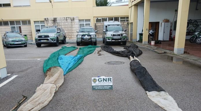Redes de pesca ilegal de meixão apreendidas na Nazaré