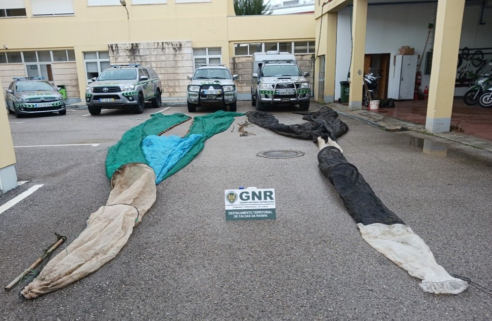 Redes de pesca ilegal de meixão apreendidas na Nazaré