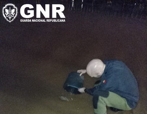 Dois detidos por pesca ilegal de meixão em Salir do Porto