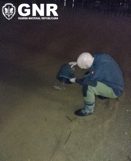 Dois detidos por pesca ilegal de meixão em Salir do Porto