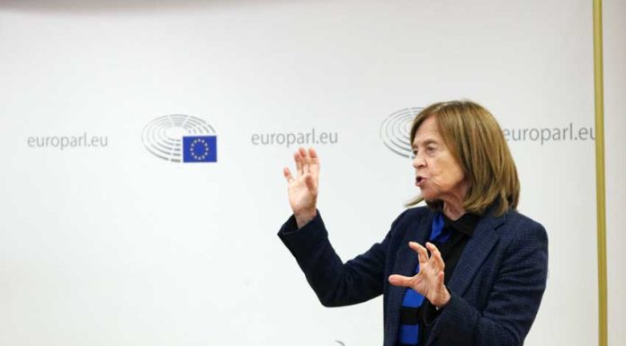 Nova NUT II com apoio em Bruxelas