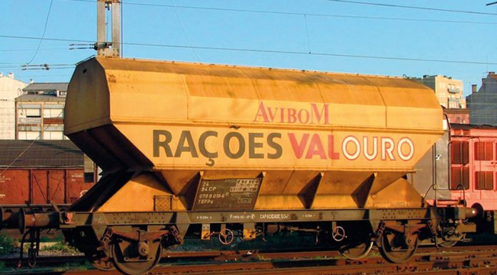 250 Maiores empresas do oeste valem 5,2 mil milhões