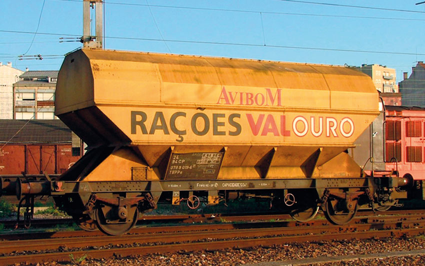 250 Maiores empresas do oeste valem 5,2 mil milhões