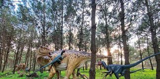 Aspiring Geoparque Oeste, um território Jurássico